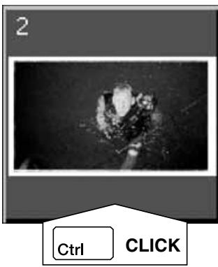 MINOLTA DIMAGE SCAN DUAL II - Click on an image to select it for scanning. - 2