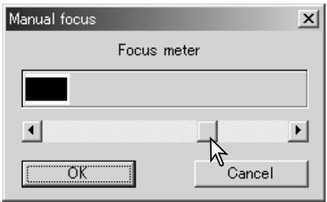 MINOLTA DIMAGE SCAN DUAL III - Manual focus - 3