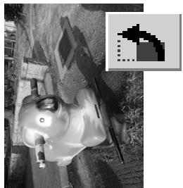 MINOLTA DIMAGE SCAN DUAL III - Flip and rotate images - 2