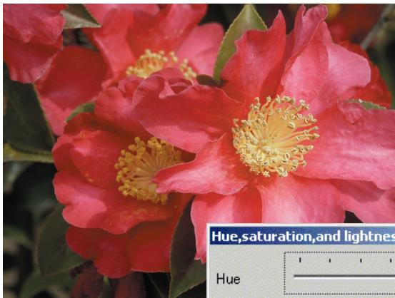 MINOLTA DIMAGE SCAN DUAL III - HSB color model (p. 81) - 2