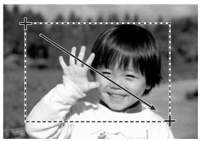 MINOLTA DIMAGE SCAN DUAL III - Prescanning the cropped area - 3