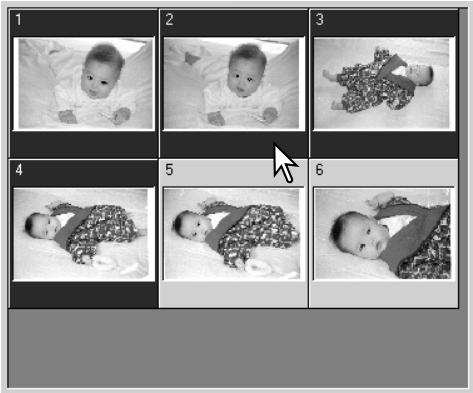 MINOLTA DIMAGE SCAN DUAL III - Selecting index thumbnails - 1