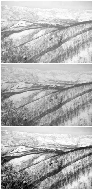 MINOLTA DIMAGE SCAN DUAL III - Brightness, contrast, and color balance palette - 3