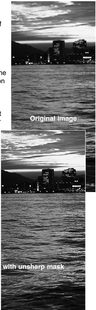 MINOLTA DIMAGE SCAN DUAL III - Unsharp mask - 3