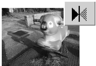 MINOLTA DIMAGE SCAN DUAL III - Flip and rotate images - 5