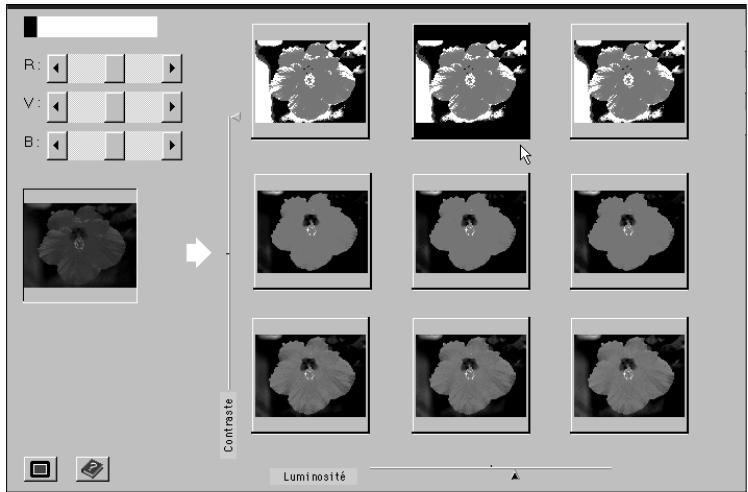 MINOLTA DIMAGE SCAN MULTI - L'image de prévisualisation reçoit immédiatement les corrections relatives à la vignette sélectionnée, puis la grille de correction évolue en conséquence. - 3
