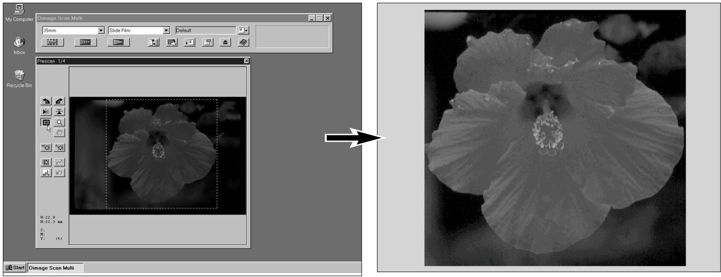 MINOLTA DIMAGE SCAN MULTI - Cliquez sur dans la fenêtre de prescan. - 1