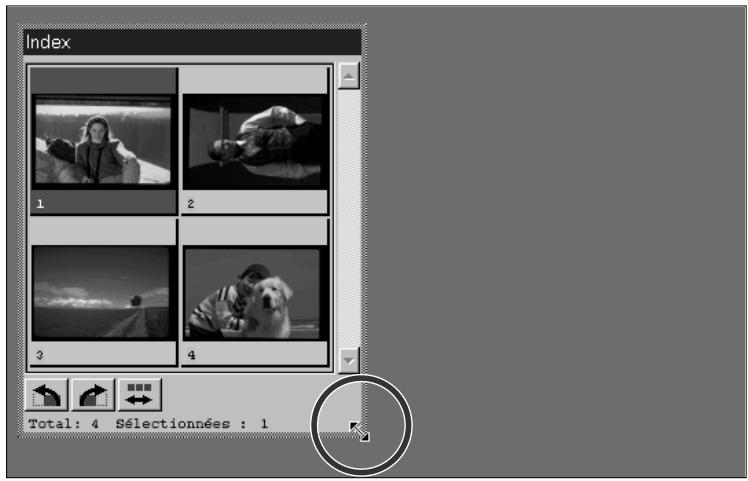 MINOLTA DIMAGE SCAN MULTI - Cliquez sur le coin inférieur droit de la fenêtre puis redimensionnez à votre gré. - 1