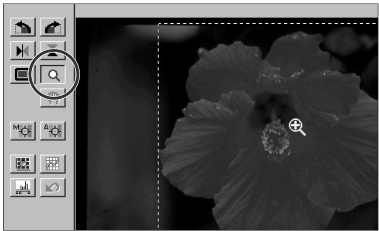 MINOLTA DIMAGE SCAN MULTI - Cliquez n'importe où sur l'image pour en agrandir une portion. - 1