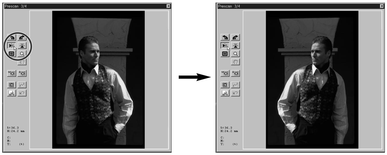 MINOLTA DIMAGE SCAN MULTI - ZONE de numérisation - 4