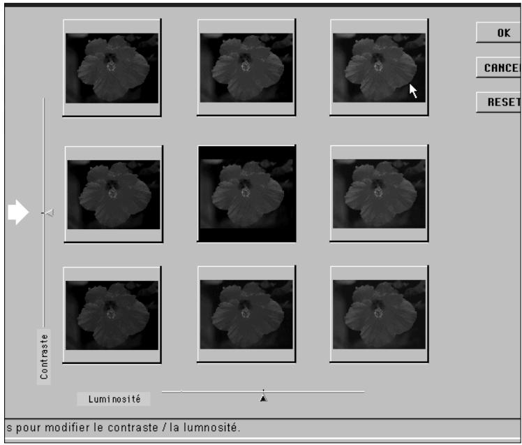 MINOLTA DIMAGE SCAN MULTI - L'image de prévisualisation reçoit immédiatement les corrections relatives à la vignette sélectionnée, puis la grille de correction évolue en conséquence. - 1