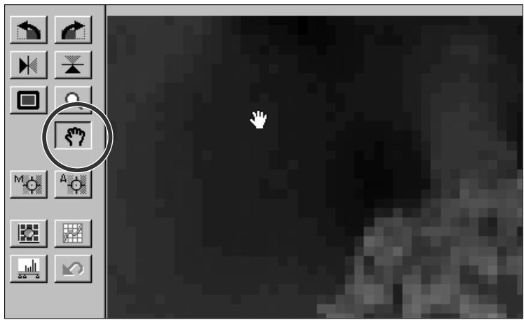 MINOLTA DIMAGE SCAN MULTI - Laissez le bouton de la souris enfoncé et déplacez l'image en temps réel. - 1