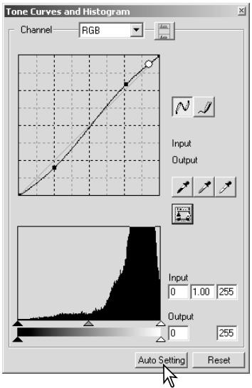 MINOLTA DIMAGE VIEWER 2.2 - TONE-CURVE / HISTOGRAM AUTO SETTING - 1