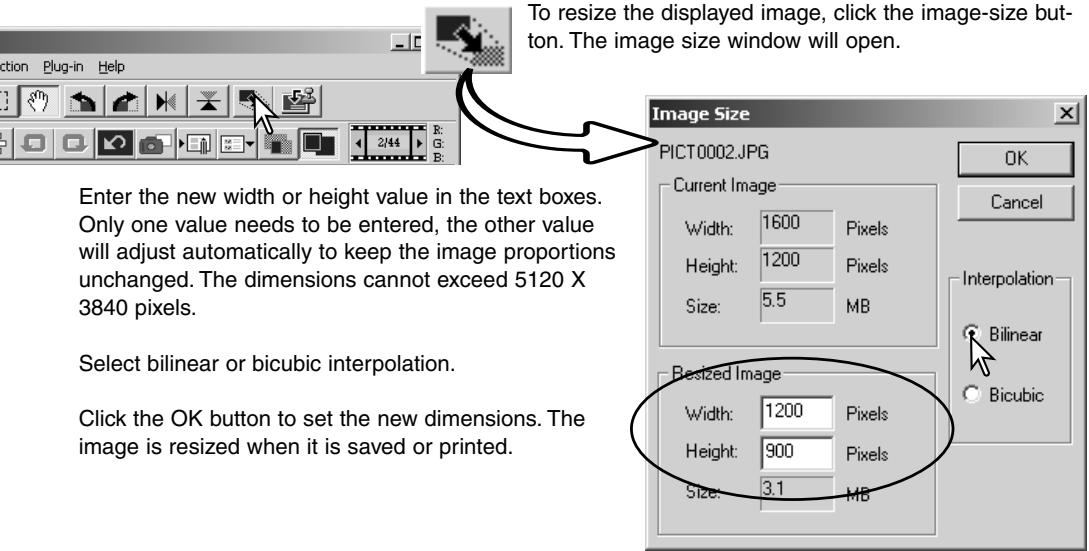 MINOLTA DIMAGE VIEWER 2.2 - RESIZING AN IMAGE TO BE SAVED - 1