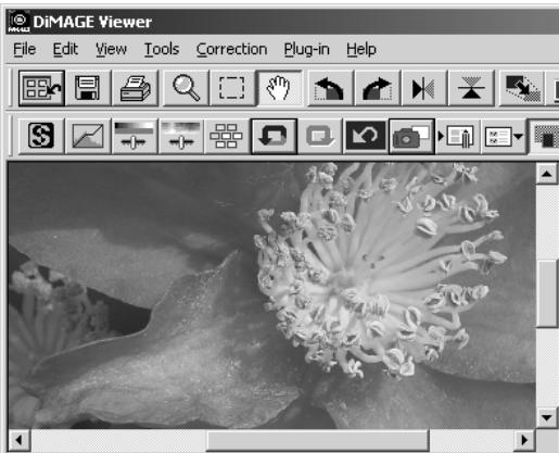 MINOLTA DIMAGE VIEWER 2.2 - COMPARING PRE AND POST CORRECTION IMAGES - 2