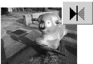 MINOLTA DIMAGE VIEWER 2.2 - DiAGeViewer - 5