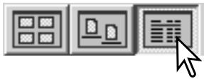 MINOLTA DIMAGE VIEWER 2.2 - CHANGING THE DISPLAY FORMAT - 4