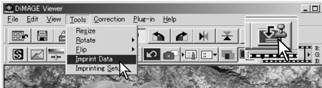 MINOLTA DIMAGE VIEWER 2.2 - DATA IMPRINTING - 8