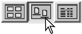MINOLTA DIMAGE VIEWER 2.2 - CHANGING THE DISPLAY FORMAT - 3