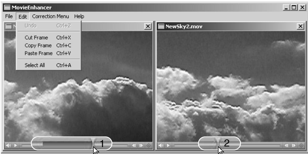 MINOLTA DIMAGE VIEWER 2.2 - Copying sections from one movie to another - 1