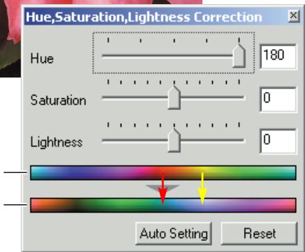 MINOLTA DIMAGE VIEWER 2.2 - HUE CORRECTION EXAMPLE - 2