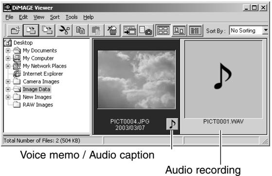 MINOLTA DIMAGE VIEWER 2.2 - OPENING AUDIO FILES - 1