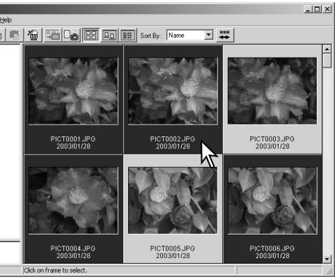 MINOLTA DIMAGE VIEWER 2.2 - COPYING IMAGES TO ANOTHER FOLDER - 1