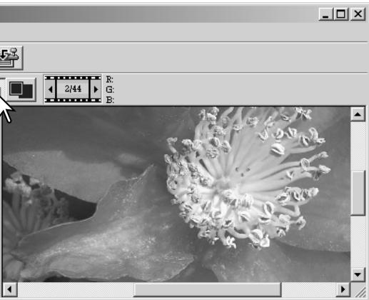 MINOLTA DIMAGE VIEWER 2.2 - COMPARING PRE AND POST CORRECTION IMAGES - 3