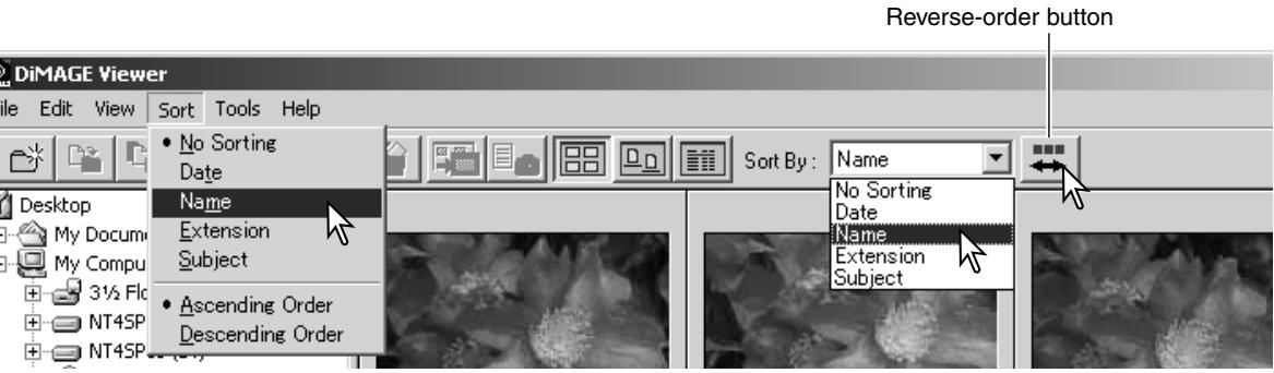 MINOLTA DIMAGE VIEWER 2.2 - SORTING IMAGE FILES - 1
