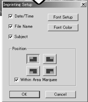 MINOLTA DIMAGE VIEWER 2.2 - DATA IMPRINTING - 5