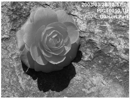 MINOLTA DIMAGE VIEWER 2.2 - DATA IMPRINTING - 9
