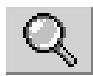 MINOLTA DIMAGE VIEWER 2.2 - Magnifying tool - 1