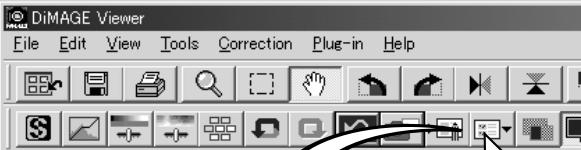 MINOLTA DIMAGE VIEWER 2.2 - LOADING IMAGE-CORRECTION JOBS - 2