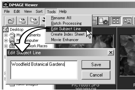 MINOLTA DIMAGE VIEWER 2.2 - EDITING THE SUBJECT LINE - 1