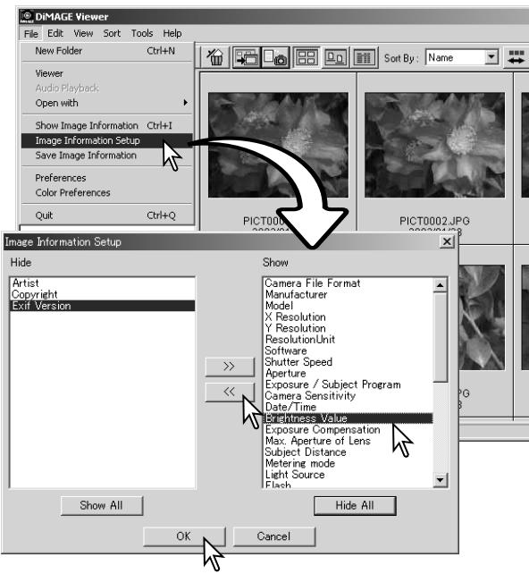 MINOLTA DIMAGE VIEWER 2.2 - IMAGE INFORMATION SETUP - 1