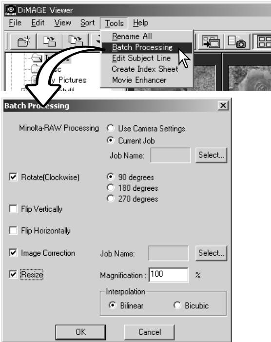 MINOLTA DIMAGE VIEWER 2.2 - BATCH PROCESSING - 1