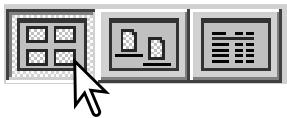 MINOLTA DIMAGE VIEWER 2.2 - CHANGING THE DISPLAY FORMAT - 2