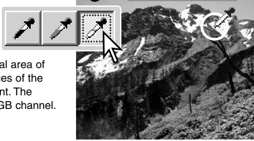 MINOLTA DIMAGE VIEWER 2.2 - WHITE, BLACK, AND GRAY-POINT CORRECTIONS - 2
