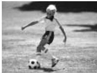 MINOLTA DYNAX 5 - Sports - 1
