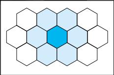 MINOLTA DYNAX 5 - 14-Segment Honeycomb-Pattern Metering - 2