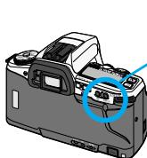 MINOLTA DYNAX 5 - Place the spot metering area on the area to be metered. - 1