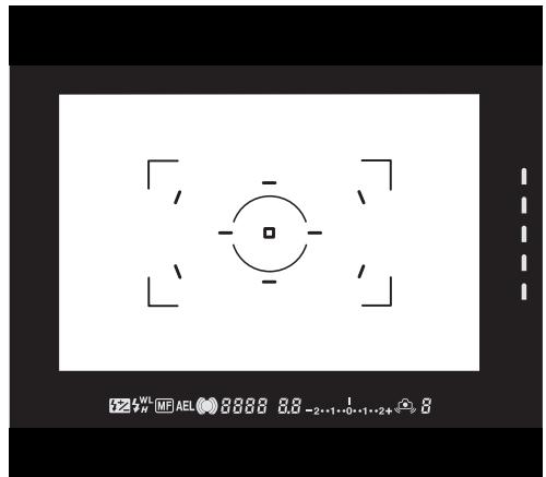 MINOLTA DYNAX 7D - Camera Notes - 2