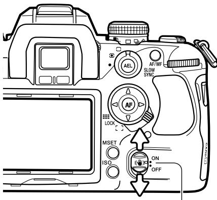 MINOLTA DYNAX 7D - USING THE BUILT-IN FLASH - 5