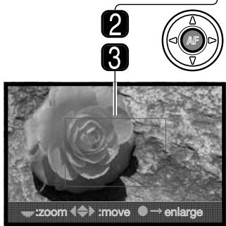 MINOLTA DYNAX 7D - ENLARGED PLAYBACK - 3