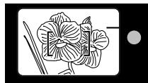 MINOLTA FREEDOM ZOOM 130 - CLOSE FRAMING GUIDE - 1