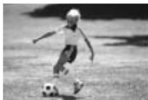MINOLTA MAXXUM 3 - Press the subject-program button until the subject-program indicator points to the sports mode. - 3