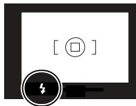 MINOLTA MAXXUM 3 - Flash Signals - 1