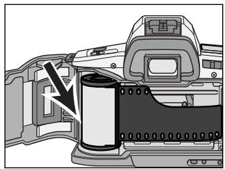 MINOLTA MAXXUM 3 - Insert the film cartridge into the film chamber. - 1