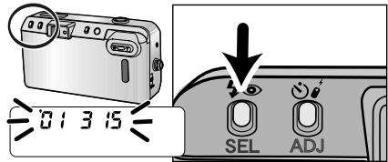 01315 SEL ADJ