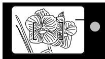 MINOLTA RIVA ZOOM 130 - CLOSE FRAMING GUIDE - 1